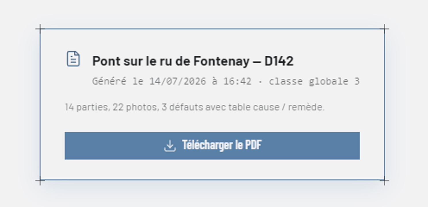 Rapport généré, prêt à télécharger